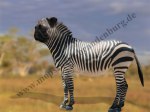 Zebra Mops
